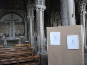 Exhibition of tree drawings by Ewan Anderson at Durham Cathedral