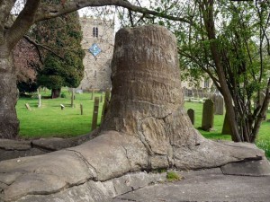 Fossil Tree, Stanhope by Andrewdrew-Curtis