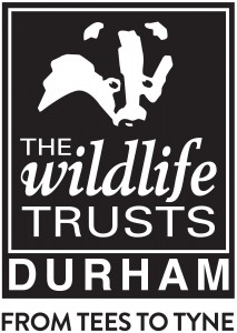 Durham Wildlife Trust logo