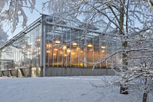 Glasshouse at the John Innes Centre