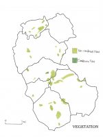 Debenham, Suffolk environmental maps - vegetation